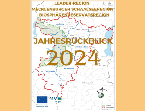 LAG MSR: Jahresrückblick 2024