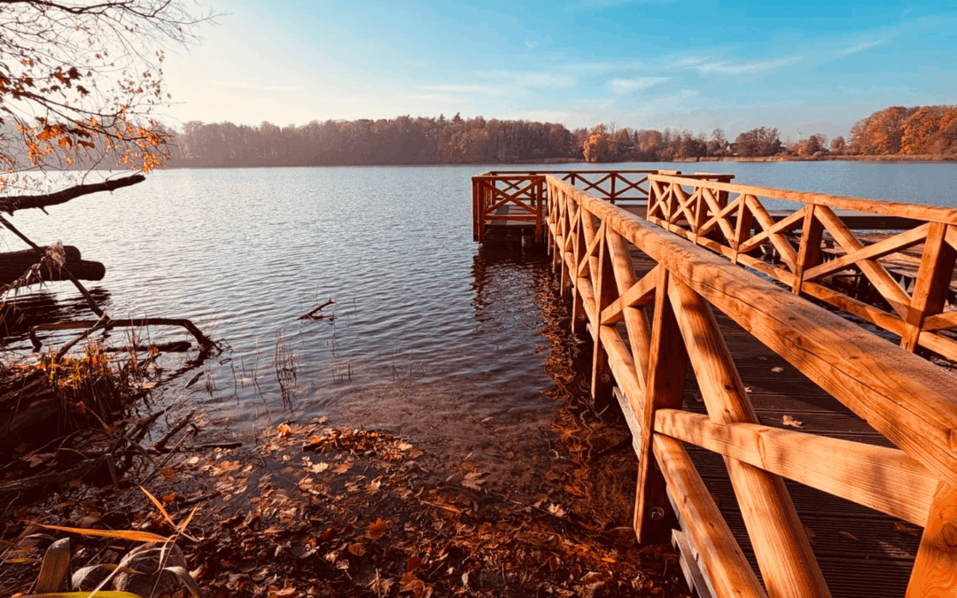 Fischwirtschaftsgebiet: Fischlehrpfad am Trebbower See